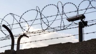 Photo of اجلاس روکنے کیلیے پنجاب اسمبلی کو خاردار تاریں لگا کر سیل کردیا گیا