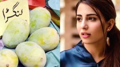 Photo of اداکارہ عشنا شاہ کو لنگڑے آم کی تلاش