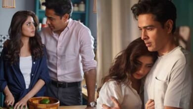 Photo of سجل علی اور شہزاد رائے اسکرین شیئر کرنے کیلیے تیار