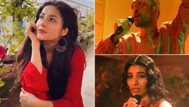 Photo of بھارتی ریئلٹی اسٹار شہناز گل بھی” پسوڑی “کے عشق میں مبتلا