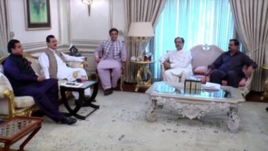 Photo of حمزہ شہباز سے پی پی وفد کی ملاقات ، پنجاب میں پاور شیئرنگ پر معاملات طے