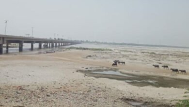 Photo of دریائے سندھ میں پانی کی شدید قلت ، تمام نہروں کو پانی کی فراہمی معطل