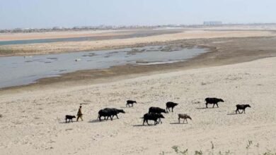 Photo of ملکی بڑے آبی ذخائر میں پانی کی آمد میں 40 سے 45 فیصد کمی ریکارڈ
