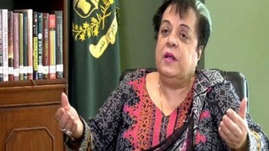 Photo of شیریں مزاری کی گرفتاری، اسلام آباد ہائی کورٹ نے جوڈیشل انکوائری کا حکم دے دیا