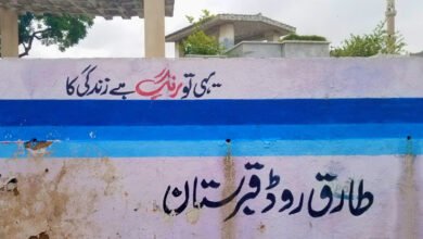 Photo of نیلسن پینٹ نے قبرستان کی دیوار پر قابل اعتراض سلوگن لکھ ڈالا