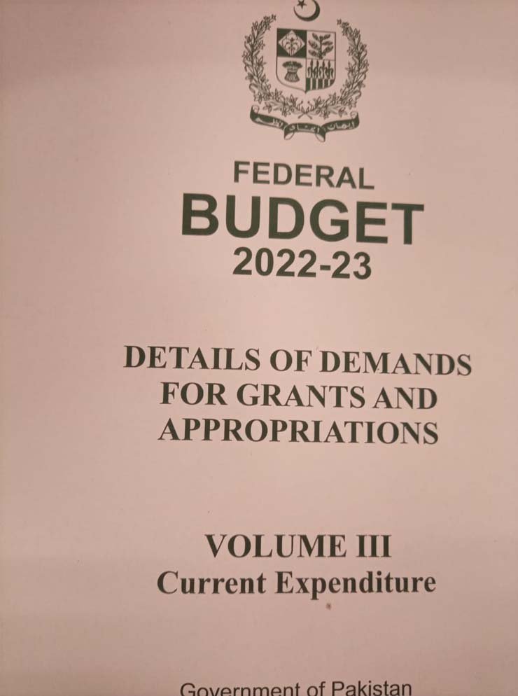 Federal budget and general elections