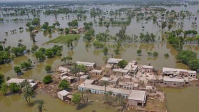 Photo of سندھ میں تباہی: قائم علی شاہ کے صاحبزادے نے اپنی حکومت کی کارکردگی پر سوالات اٹھا دیئے