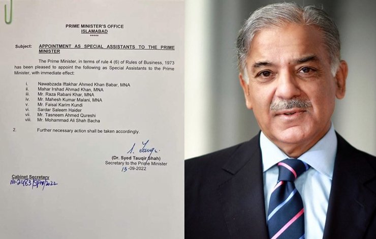 Shahbaz Sharif, new ministers, شہباز شریف، معاون خصوصی