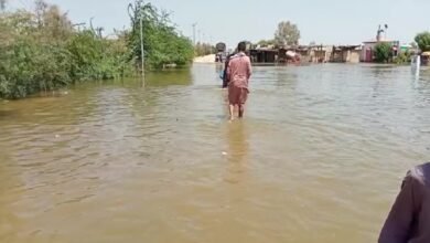 Photo of منچھر جھیل سے پانی اخراج کے بعد سہون کے سینکڑوں دیہات زیرآب آگئے