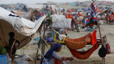 Photo of لاڑکانہ میں بدترین سیلاب میں زندہ بچنے والی لڑکی سانپ کے کاٹنے سے مرگئی