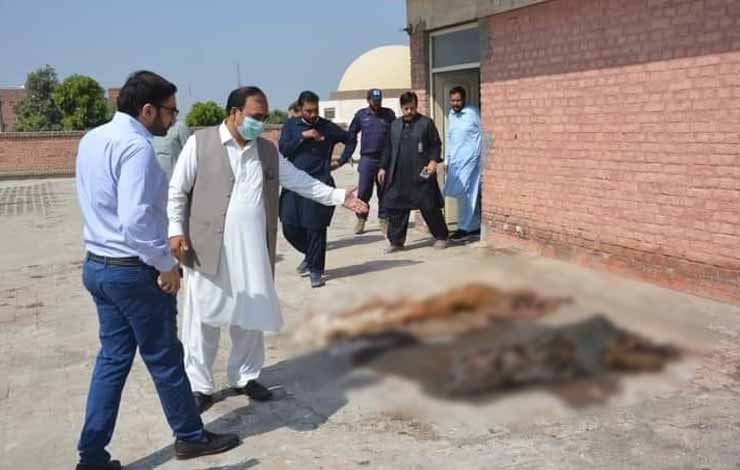 mishandling of abandoned bodies in nishtar hospital multan, نشتر اسپتال