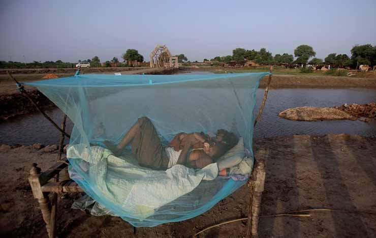 mosquitoes nets, 62 لاکھ مچھر دانیاں