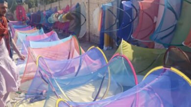 Photo of سکھر میں وجہ سے مچھروں کی بہتات، مچھر دانی بیچنے والی کی چاندی ہوگئی