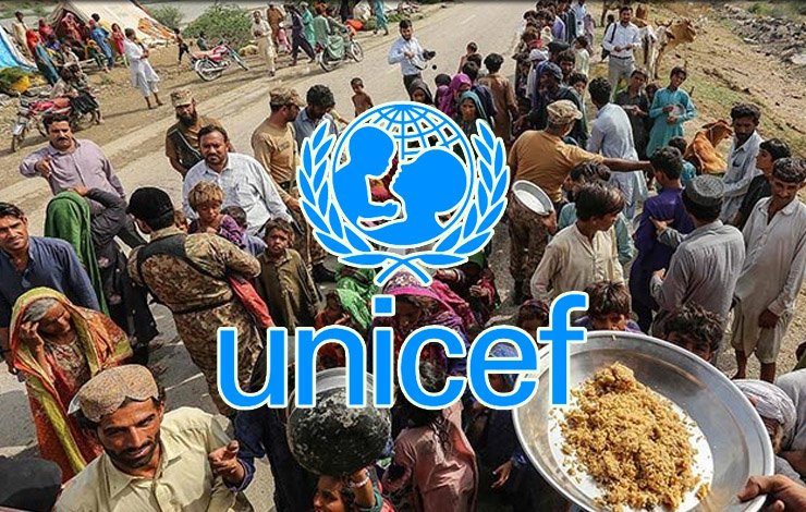 malnutrition, health facility, millions of lives, UNICEF, Pakistan, the flood, غذائی قلت، صحت کی سہولت، لاکھوں زندگیاں، یونیسیف، پاکستان، سیلاب،