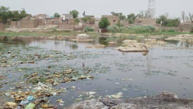 Photo of سکھرکا تاریخی پیر مراد شاہ قبرستان قبضہ مافیا کی نظروں میں آگیا