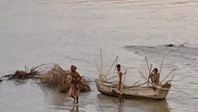 Photo of سردی میں اضافے سے مچھلی کی طلب میں اضافہ، دریائے سندھ میں شکار جاری