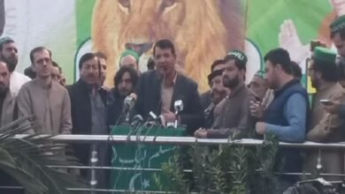 Photo of مسلم لیگ ن کے رہنما امیر مقام دہشتگردانہ حملے میں محفوظ رہے