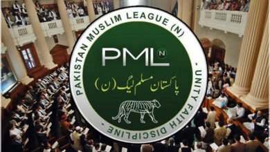 Photo of مسلم لیگ ن نے منشور کمیٹی کے ارکان کا اعلان کر دیا