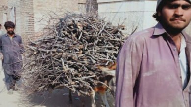 Photo of سکھر میں گیس ناپید ہونے پر شہری کوئلے اور لکڑیوں پر کھانا پکانے پر مجبور