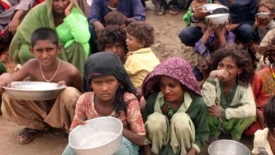 Photo of پی ڈی ایم کی سیلاب سے متعلق رپورٹ سندھ ہائیکورٹ میں جمع، غلط اعداوشمار پر عدالت کا اظہار برہمی