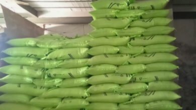 Photo of قاضی احمد میں یوریا کھاد مہنگے داموں بکنے لگی، انتظامیہ خاموش تماشائی بن گئی