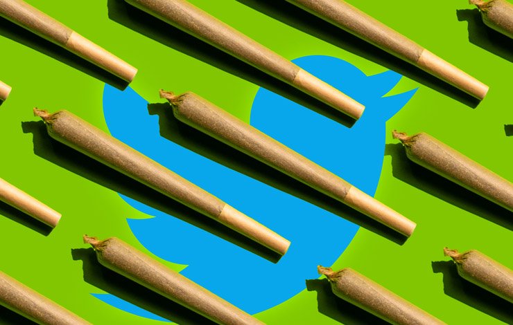 Twitter, Platform, marijuana, cannabis, advertisements, permission, ٹوئٹر، پلیٹ فارم، چرس، بھنگ، اشتہارات، اجازت،