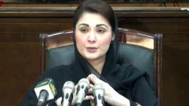 Photo of فوج اور عدلیہ مخالف تقاریر: سکھر میں بھی مریم نواز کے خلاف پٹیشن دائر