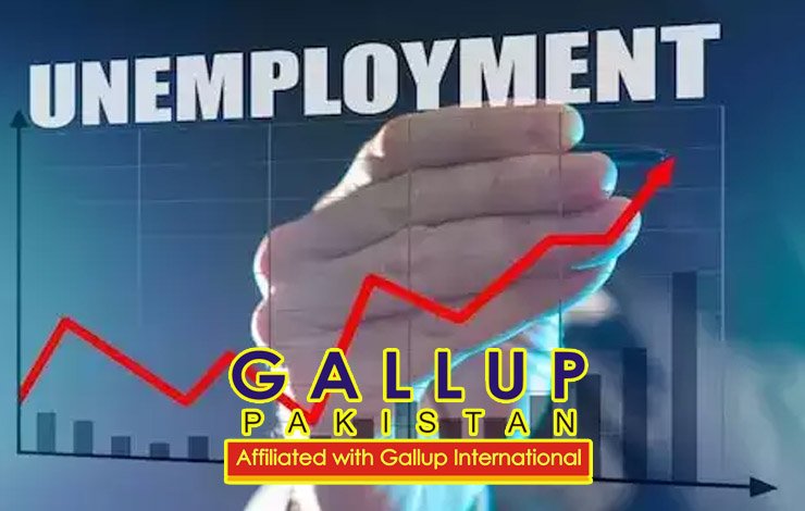 Punjab, unemployment, rate, seven percent, Gallup, pride, analysis, پنجاب، بیروزگاری، شرح، سات فیصد، گیلپ، پرائیڈ، تجزیہ،