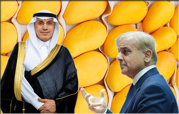 Shahbaz Sharif, mango diplomacy, Erdogan, later, Islamic, bank, Head, also, mangoes, Gift, شہباز شریف، مینگو ڈپلومیسی، اردگان، بعد، اسلامی، بینک، سربراہ، بھی، آموں، تحفہ،