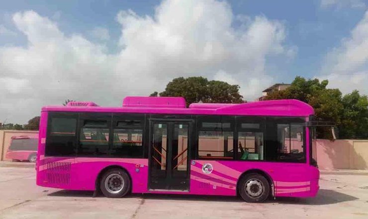 pink bus, پنک بس