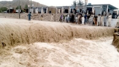 Photo of دریائے راوی، ستلج اور چناب میں سیلابی صورتحال سے متعدد دیہات زیر آب، بھارت سے نئی معلومات موصول