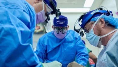 Photo of انسان میں سور کے گردے کی پیوندکاری کا تجربہ کامیاب