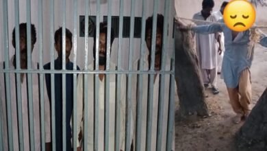 Photo of کمالیہ میں لڑکی کے رشتے داروں کا نوجوان پر تشدد ، ویڈیو وائرل کردی