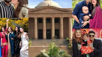 Photo of سوشل میڈیا سے فیملی ویلاگنگ کے نام پر فحاشی پھیلانے والا مواد ہٹانے کا حکم