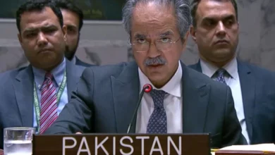 Photo of فلسطین میں موت کا رقص جاری، پاکستانی سفیر نے اقوام متحدہ میں حقائق بے نقاب کر دیے