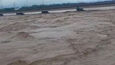 Photo of پنجاب میں سیلاب کا شدید خطرہ برقرار، دریائے چناب، راوی اور ستلج بپھر گئے، درجنوں اضلاع زیرِ آب