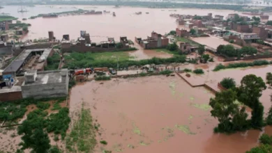 Photo of بھارت نے چناب میں مزید پانی چھوڑ دیا، خوفناک سیلابی ریلا ملتان میں داخل